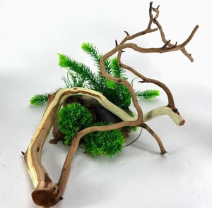 Großes Treibholz Manzanita 19" Aquascape Aquarium Terrarium Reptil Wohndeko - Bild 1 von 20