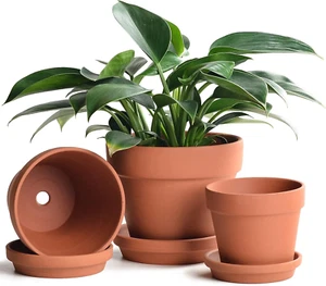 Terracotta Pots Set with Saucer - 5/6/7 Inch Ceramic Clay Planters with Drainage - Picture 1 of 12