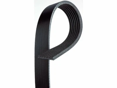 Cinturón multi costilla aire acondicionado Delco 66345XQ 2011 2012 2013 para Chevrolet Equinox 2010-2017 Foto 1 de 2