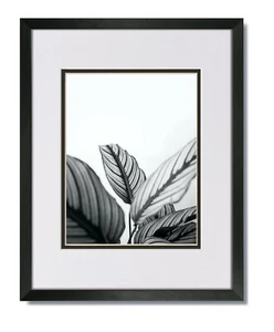 16X20 EcoLine Black Picture Frame with White/Black Mat for 11x14 - Picture 1 of 4