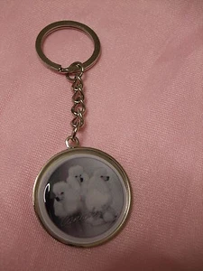 Porte-clés en métal - chien CANICHE BLANC - Picture 1 of 1