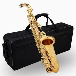 Alt Saxophon Sax Saxofon Es Stimmung Koffer Mundstück Blättchen klar lackiert DE - Bild 1 von 9