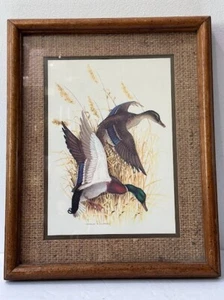 Framed Mallard Ducks Vintage Charles E. Murphy Art Print - Picture 1 of 5
