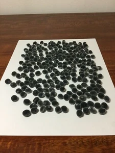 Mgambo Seeds - Hawaiian Velvet Seeds (600 Pieces) - Picture 1 of 4