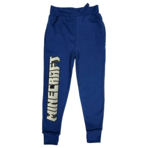 Minecraft Youth Boys 2 Pocket Elastic Waist Blue Jogger Sweatpants NWT XS, S, L - Picture 1 of 6
