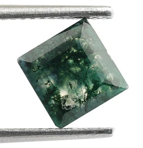 Brilliant Cut Moss Agate Square Shape 7X7mm Healing Gemstone Birthday Gift 2 Ct. - Picture 1 of 3