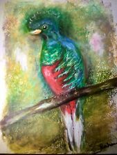 Quetzal bird original oil pastel painting on paper,birds painting