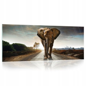 Glasbilder Elefant Tiere 125x50 Glasbild Wohnzimmer Modern Wandbild auf Glas 91