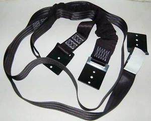 10788-10 Semi Trailer Door Pull Down Strap Tractor Trailer Door Pull Down Strap - Picture 1 of 6