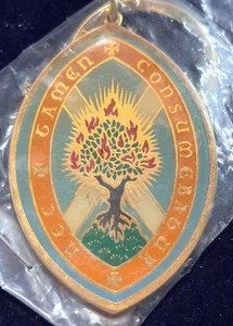 CHURCH OF SCOTLAND NEC TAMEN CONSUMEBATUR BURNING BUSH KEYRING STICK PIN & BADGE - Picture 1 of 12
