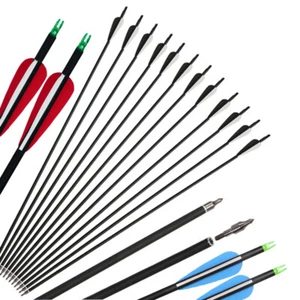 12 piezas Tiro con Arco 30" Flechas de Carbono Columna 500 para Compuesto Arco Recurvo Objetivo de Caza - Imagen 1 de 35