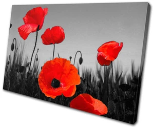 Floral Poppies Flowers SINGLE CANVAS WALL ART Picture Print VA - Picture 1 of 1