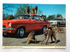Vintage African Lion Safari Ontario Monkey Jungle Postcard
