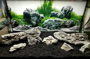 SEIRYU RYUOH STONE ADA STYLE AQUASCAPING IWAGUMI GREY PILLAR AQUARIUM ROCK - Picture 1 of 8