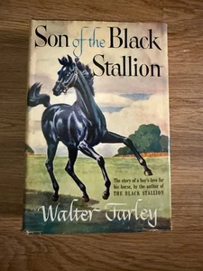 Son of the Black Stallion By Walter Farley HC DJ - FREE SHIPPING  - Picture 1 of 5
