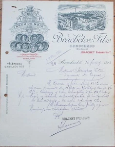 Walnut Liqueur Brou de Noix 1913 French Letterhead, Brachet Fils Dordogne France - Picture 1 of 1