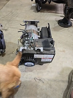 Motor y generador cobertizo de herramientas de 2 HP Foto 1 de 4