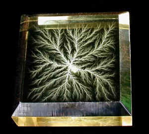 2" X 2" X 3/4" Beveled Captured Lightning Lichtenberg Figure Tree Sculpture - Picture 1 of 7