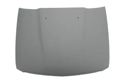 Genuine GM Hood 89025819 Foto 1 de 3