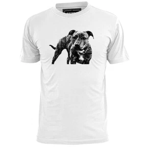 Camiseta para hombre Staffie Bull Terrier boceto mascotas hombre mejor amigo - Imagen 1 de 2