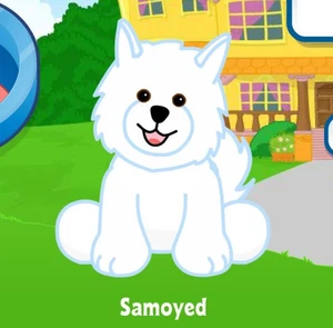 Webkinz Classic Samoyed RETIRED Pet Code Only - Picture 1 of 1
