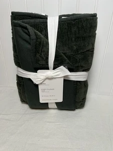 Pottery Barn Acogedora Nube Acolchada Euro Sham Hunter Verde - Imagen 1 de 2