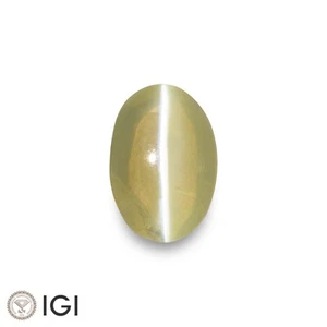 IGI Certified CEYLONESE Chrysoberyl Cat's Eye 2.58 Ct. Natural Untreated OVAL - Picture 1 of 8