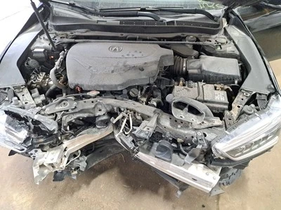 Rear Strut 2019 Tlx Sku#4174622 - Image 1 of 4