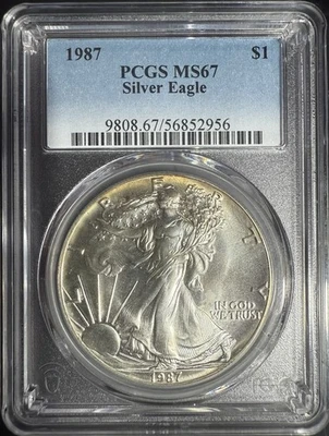 American Silver Eagle 1987 $1 graduación profesional MS 67 borde ligero tonificación Foto 1 de 4