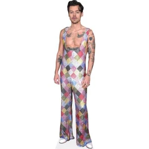 Harry Styles (Colourful) Life Size Cutout - Picture 1 of 6
