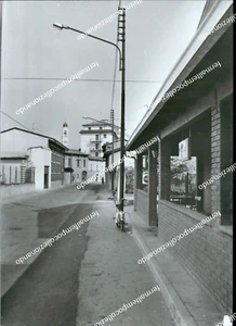 cd100 Fotoentwurf Kokosnuss Provinz Brescia Lombardei - Bild 1 von 2