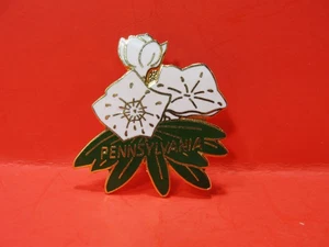 Vintage "Pennsylania" Emaille Anstecknadel - Bild 1 von 3