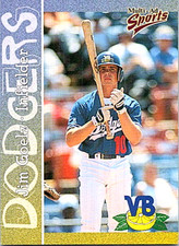 2000 Multi-Ad Vero Beach Dodgers Minor League Baseball #12 Jim Goelz