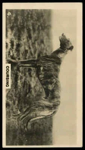 Lambert & Butler - 'The World of Sport' (1927) - Golden Seal - Picture 1 of 2