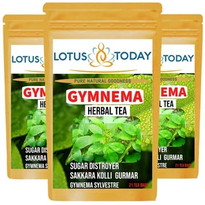 Lotustoday herbal tea pure Gymnema Gurmar leaf diabetic diet 60 Tea bags