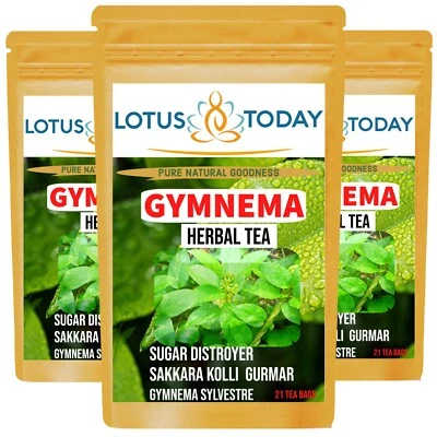 Gurmar leaf Tea (Pack of 3 ) Gymnema Herbal Tea 60 Tea bags Anti Sugar Tea - Image 1 of 3