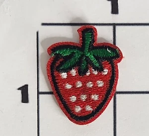1" Strawberry Patch Sew On Embroidered Summer - Picture 1 of 1