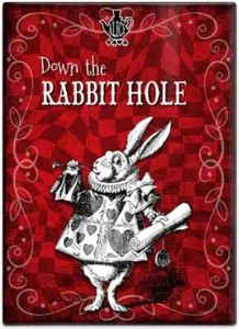Down the Rabbit Hole Alice im Wunderland Kühlschrankmagnet (Farbe) - Bild 1 von 3