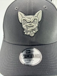 El Paso Chihuahuas Minor League Baseball Hat; MILB 9Forty Youth Cap - Picture 1 of 24