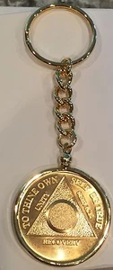 Plain Front 24k Gold Plated AA Medallion Keychain Removable Chip - Picture 1 of 5