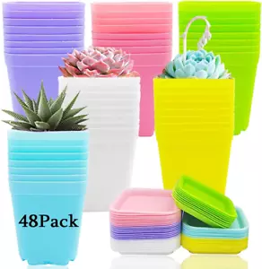 48 PCS 3 Inch Colorful Plastic Plant Pot,Plastic Square Nursery Pots,Seedling Nu - Picture 1 of 7