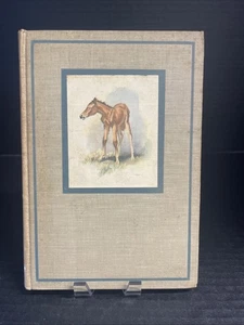 The Red Pony by John Steinbeck 1st Illustrated 1945 Hardcover Viking Press Book - Bild 1 von 13