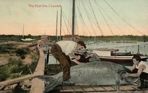 Der erste landete riesige Fische auf Dock Tier Postkarte Angeln - Bild 1 von 2