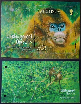 Estampillas de Guernsey: Paquete de presentación "Mono nariz desaire dorado" 2004 Foto 1 de 4