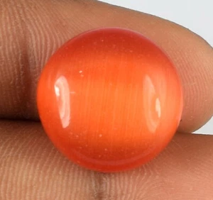 18,95 Karat orange Katzenauge loser Edelstein natürlicher runder Cabochon zertifiziert B63751 - Bild 1 von 5