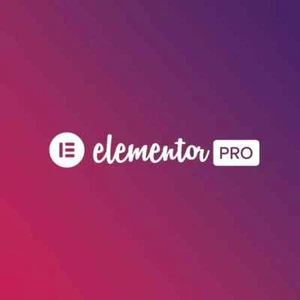 Elementor Pro (Letest version) WordPress Plugin Lifetime Access & Free Update - Picture 1 of 5