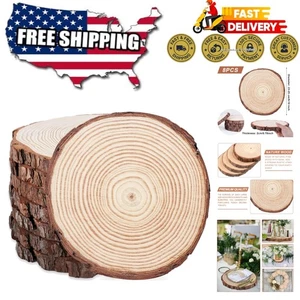 Set of 8 Natural Pine Wood Slices - 9-10 Inch Unfinished Rustic Centerpieces - Picture 1 of 9