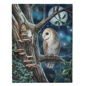 FAIRY TALES SMALL CANVAS PICTURE ART PRINT LISA PARKER FANTASY OWL MOON STAR  - Picture 1 of 2