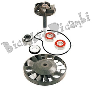 3716 - KIT REVISIONE POMPA ACQUA 125 180 4T GILERA RUNNER VX VXR - DNA - Imagen 1 de 1