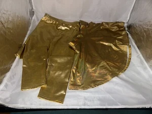 Silver Metallic Gold Mini A-Line Skirt HDE Skater Skirt & Aaronano Leggings Set - Picture 1 of 10
